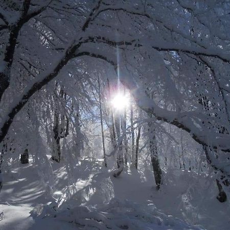 Stara Planina Vila Vesela Kuca Jalovik Izvor Exterior foto