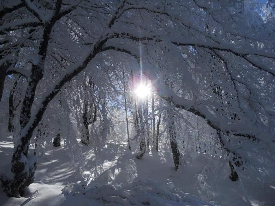 Stara Planina Vila Vesela Kuca Jalovik Izvor Exterior foto