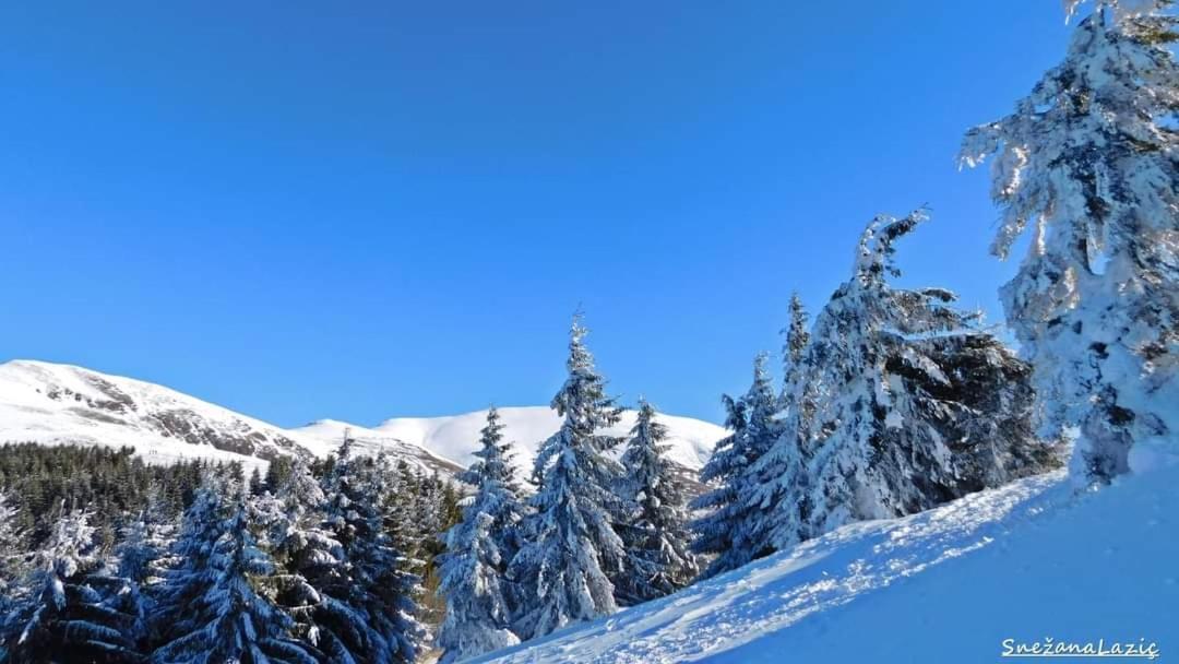 Stara Planina Vila Vesela Kuca Jalovik Izvor Exterior foto