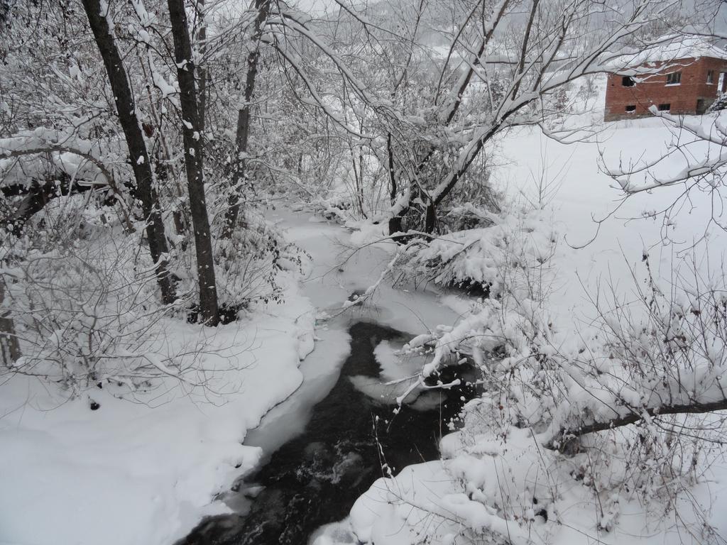 Stara Planina Vila Vesela Kuca Jalovik Izvor Exterior foto